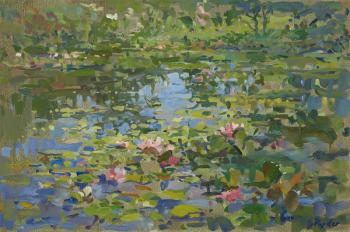 Waterlilies | Obraz na stenu