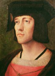 Portrait of a Knight of the Golden Fleece (oil on canvas) | Obraz na stenu