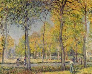 The Bois de Boulogne (oil on canvas) | Obraz na stenu