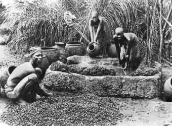Making palm oil in Dahomey, c.1900 (b/w photo) | Obraz na stenu