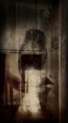'Beauty is a witch' series Elvaston Castle..'owl reflecting doorway' | Obraz na stenu