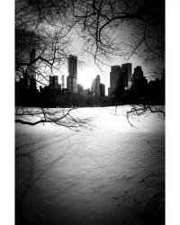 Central Park City & Trees Nº1 | Obraz na stenu