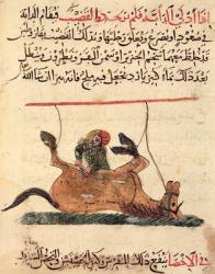 Operation on a horse, illustration from the 'Book of Farriery' by Ahmed ibn al-Husayn ibn al-Ahnaf, 1210 (vellum) | Obraz na stenu