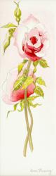 Two Queen Elizabeth Roses,2000,(watercolour) | Obraz na stenu