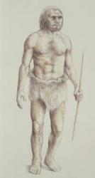 Neanderthal Man (pencil on paper) | Obraz na stenu