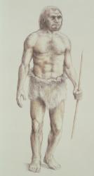 Neanderthal Man (pencil on paper) | Obraz na stenu