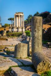 Rome, Italy. Roman Forum. (photo) | Obraz na stenu