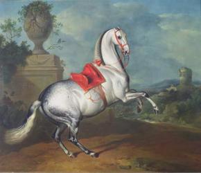 The Dapple Grey Galloping | Obraz na stenu