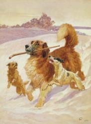 Three dogs playing in the snow, 1881 | Obraz na stenu