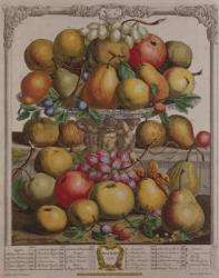 December, from 'Twelve Months of Fruits', by Robert Furber (c.1674-1756) engraved by Henry Fletcher, 1732 (colour engraving) | Obraz na stenu