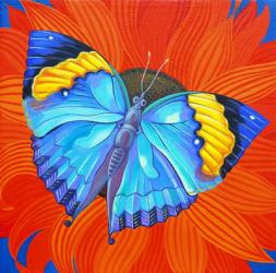 Indian Leaf Butterfly, 2014, (oil on canvas) | Obraz na stenu