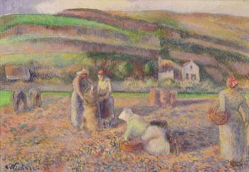 The Potato Harvest, 1886 (oil on canvas) | Obraz na stenu