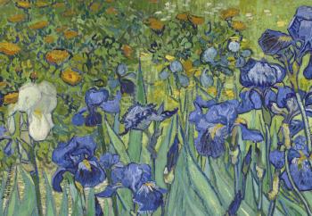 Irises, 1889 (oil on canvas) (detail of 40070) | Obraz na stenu