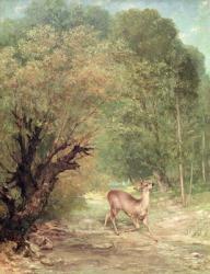 The Hunted Roe-Deer on the alert, Spring, 1867 | Obraz na stenu