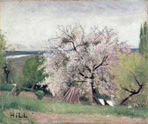 Fruit Tree in Blossom, Bois-le-Roi | Obraz na stenu