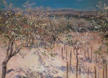 Orchard with Flowering Apple Trees, Colombes | Obraz na stenu
