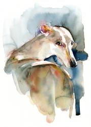 Greyhound Hope, 2016, (watercolor) | Obraz na stenu