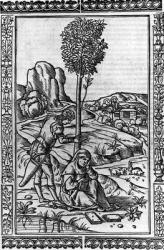 Frontispiece for a book of poems by Francesco Petrarch (engraving) | Obraz na stenu