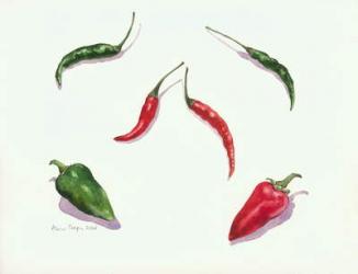 Chillies and Peppers, 2005 (w/c on paper) | Obraz na stenu
