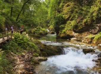 Visitors walking on wooden walkways which run the length of the Vintgar Gorge near Bled, Triglav, National Park, Upper Carniola, Slovenia (photo) | Obraz na stenu