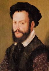 Portrait of a Man with Brown Hair, c.1560 (oil on panel) | Obraz na stenu