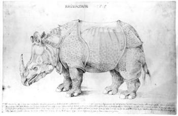 Rhinoceros, 1515 (pen & ink on paper) | Obraz na stenu