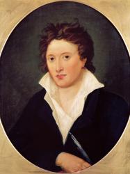 Portrait of Percy Bysshe Shelley, 1819 (oil on canvas) | Obraz na stenu