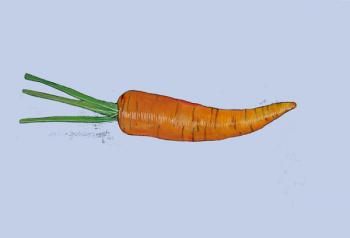 Carrot | Obraz na stenu