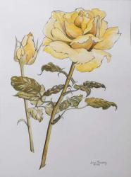 Yellow Rose with Leaves with Bud, 2012,pencil and (w/c on handmade paper) r | Obraz na stenu