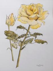 Yellow Rose with Leaves with Bud, 2012,pencil and (w/c on handmade paper) r | Obraz na stenu