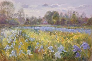 Iris Field in the Evening Light, 1993 | Obraz na stenu