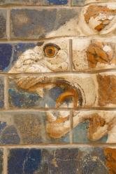 Istanbul, Turkey. Archeological Museum. Glazed brick lion in relief from the "procession street", Babylon, dating from the Nebuchadnezzar II period circa 604-562 BC. | Obraz na stenu