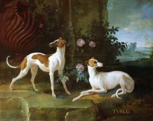 Misse and Turlu, two greyhounds of Louis XV (oil on canvas) | Obraz na stenu