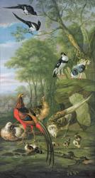 Cock pheasant, hen pheasant and chicks and other birds in a classical landscape | Obraz na stenu