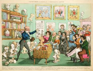 Calves' Heads and Brains; or a Phrenological Lecture, 1826 (colour etching) | Obraz na stenu