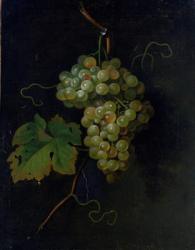 Grapes (oil on canvas) | Obraz na stenu