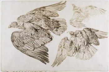 Eagles (pen & brown ink on paper) | Obraz na stenu