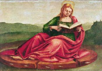 St. Catherine of Alexandria (oil on canvas) | Obraz na stenu