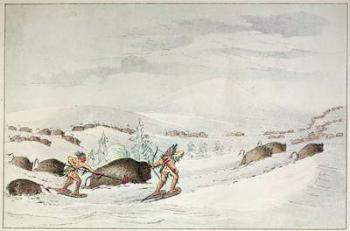 Hunting buffalo on snow-shoes (colour litho) | Obraz na stenu