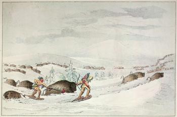 Hunting buffalo on snow-shoes (colour litho) | Obraz na stenu