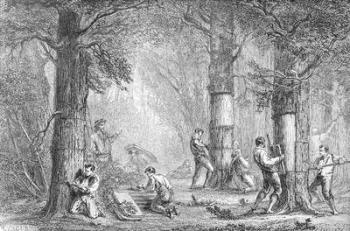 Bark (Gathering the Bark of the Cork Tree) engraved by Charles Laplante (d.1903) (engraving) (b/w photo) | Obraz na stenu