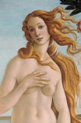 Venus, detail from The Birth of Venus, c.1485 (tempera on canvas) (detail of 412) | Obraz na stenu