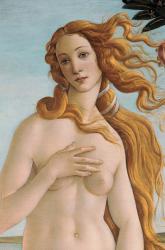 Venus, detail from The Birth of Venus, c.1485 (tempera on canvas) (detail of 412) | Obraz na stenu