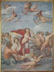 The Triumph of Galatea, 1512-14 (fresco) | Obraz na stenu