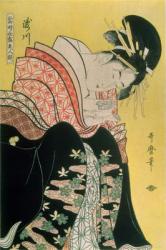 Takigawa from the Tea-House, Ogi (colour woodblock print) | Obraz na stenu