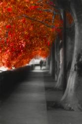 Autumn Promenade, 2016, (Giclée Print on Hahnemühle Fine Art Photo Rag) | Obraz na stenu