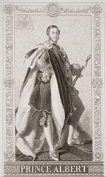 Prince Albert (1819-61) from `Illustrations of English and Scottish History' Volume II (engraving) | Obraz na stenu