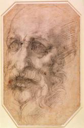 Portrait of a Bearded Man (black chalk on paper) (recto) (for verso see 191768) | Obraz na stenu