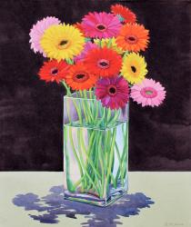 Gerberas (watercolour on paper) | Obraz na stenu