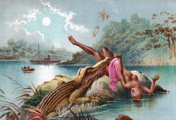 A crocodile attacking a native woman in Africa in the 19th century. From The Life and Explorations of Dr. Livingstone published c.1875. | Obraz na stenu